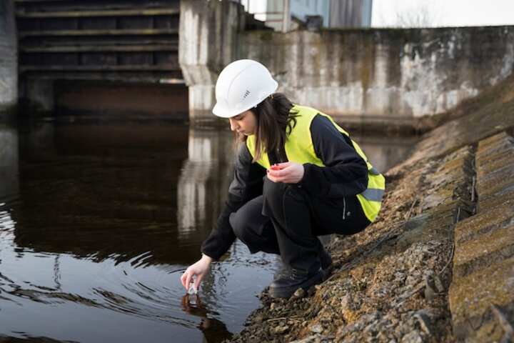 Top-Rated Water Damage Services Near Me Trust the Professionals